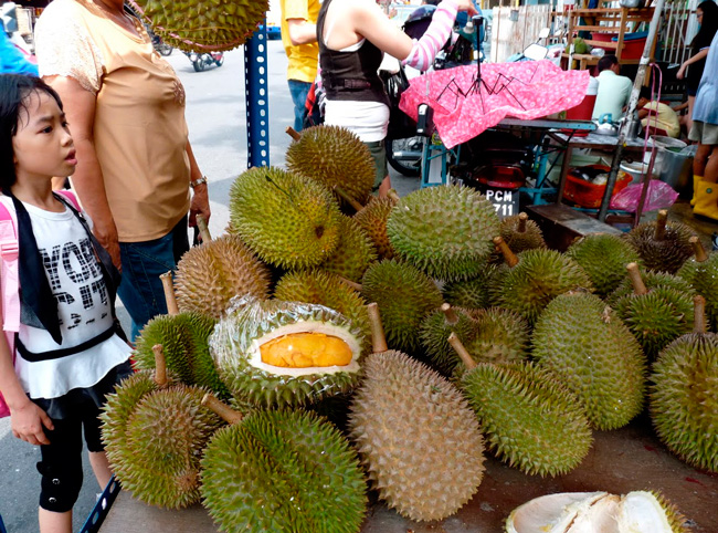 vyvoz-durian
